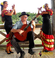 Guitar Flamenco